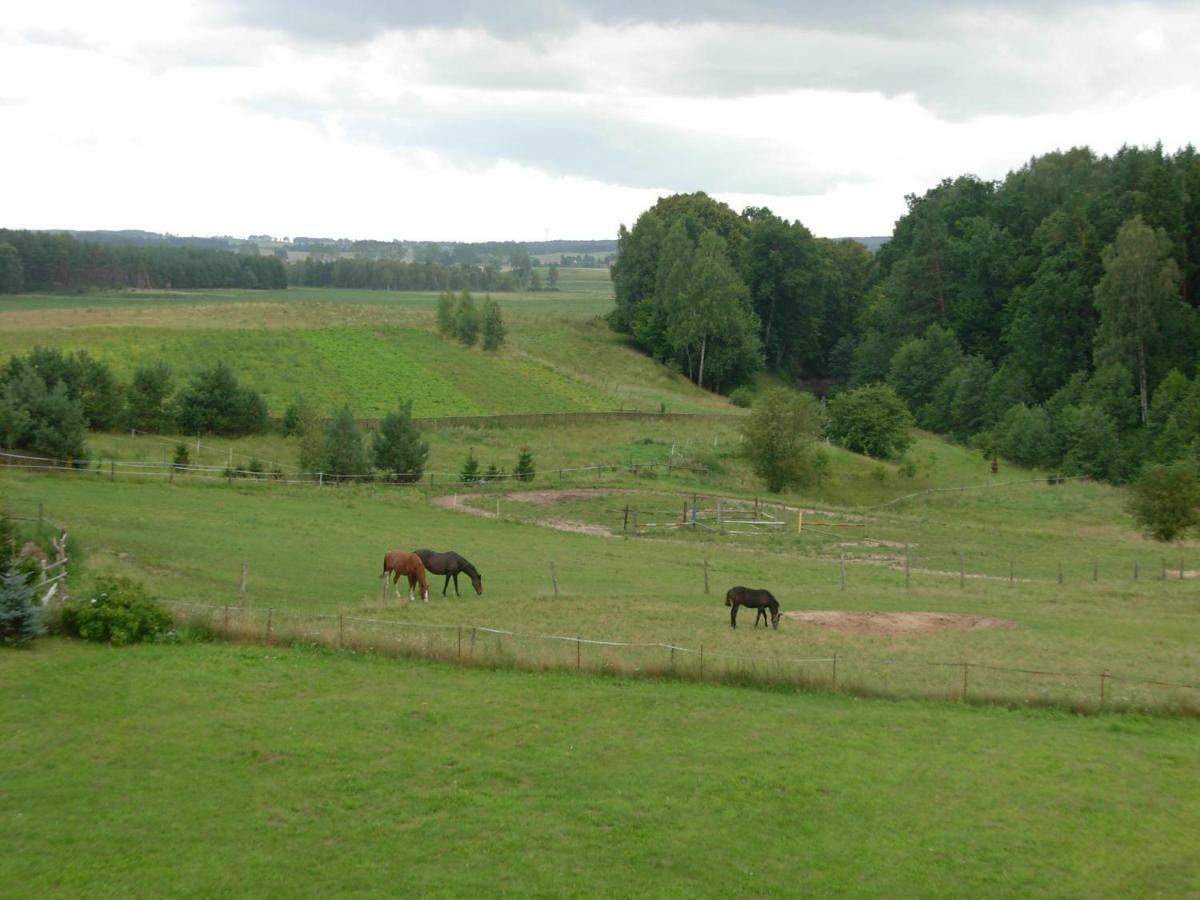 Agroturystyka Owczarnia Villa คัทเซิร์น ภายนอก รูปภาพ